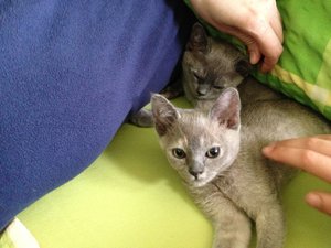 Beim Bettenmachen entdeckt 1.JPG