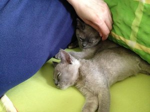 Beim Bettenmachen entdeckt 2.JPG