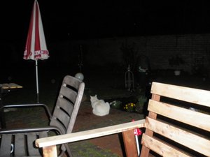 IMGP1339 (800x600).jpg