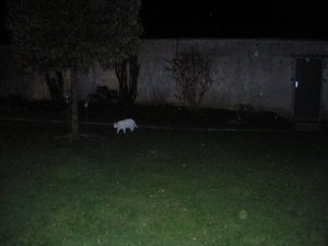 IMGP1344 (800x600).jpg