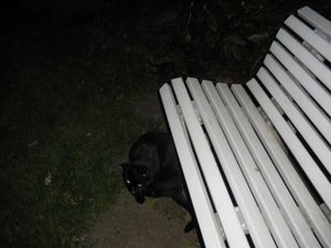 IMGP1346 (800x600).jpg