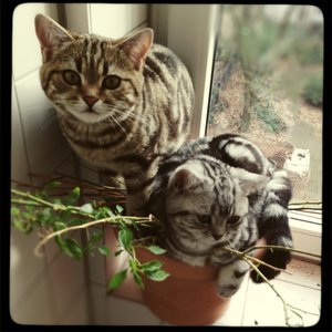 2013-01-31 11.45.31-1.jpg