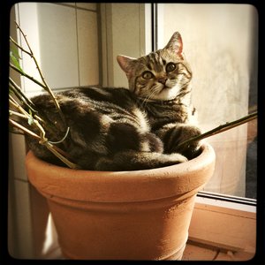 2013-01-31 10.40.06-1.jpg