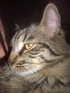 2013-04-18 19.22.16.jpg