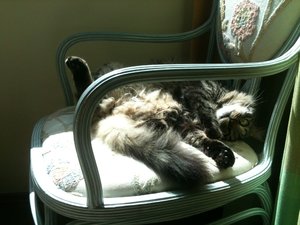 2013-04-13 11.45.41.jpg