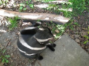 IMGP1360 (800x600).jpg