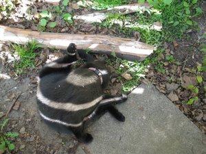 IMGP1361 (800x600).jpg