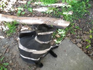 IMGP1362 (800x600).jpg