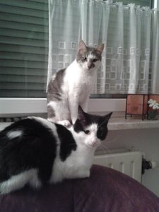 2013-01-26 07.08.11.jpg