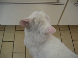 IMGP1400 (800x600).jpg