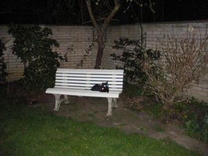 IMGP1341 (800x600).jpg