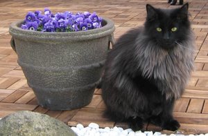 Kopie von IMG_4596.JPG