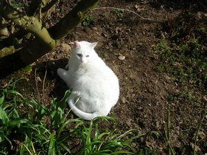 IMGP1258 (800x600).jpg