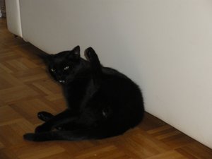 IMGP1434 (800x600).jpg