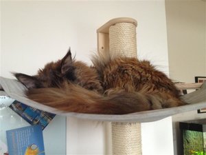 IMG_1519 (Small).JPG