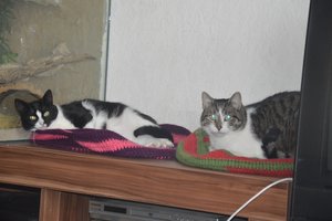 na verkutzen hult 049.jpg