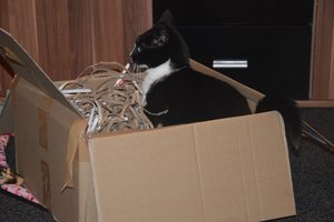 na verkutzen hult 029.jpg