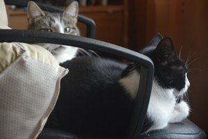 na verkutzen hult 064.jpg