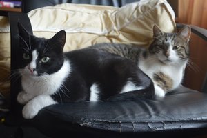 na verkutzen hult 083.jpg