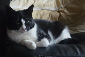 na verkutzen hult 110.jpg