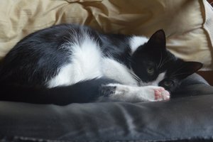 na verkutzen hult 134.jpg