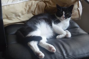 na verkutzen hult 143.jpg