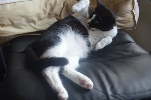 na verkutzen hult 145.jpg