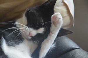 na verkutzen hult 172.jpg