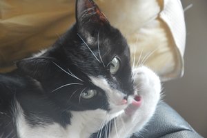 na verkutzen hult 192.jpg