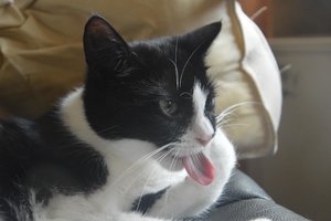 na verkutzen hult 252.jpg