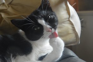 na verkutzen hult 257.jpg