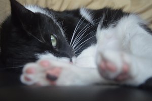 na verkutzen hult 310.jpg