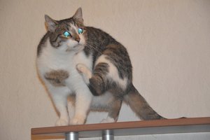 na verkutzen hult 046.jpg