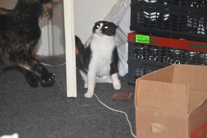 na verkutzen hult 048.jpg