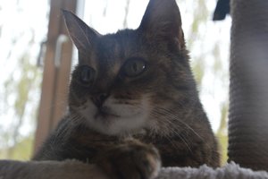 na verkutzen hult 094.jpg