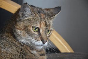 na verkutzen hult 126.jpg