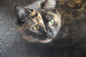 na verkutzen hult 130.jpg