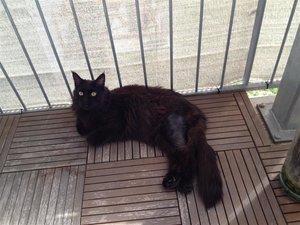 IMG_1524 (Medium).JPG