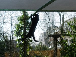 IMGP2767 (640x480).jpg