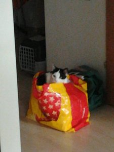 2013-02-16 15.22.57.jpg