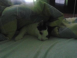 2013-01-25 12.20.58.jpg