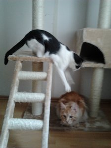 2013-02-16 15.26.40.jpg