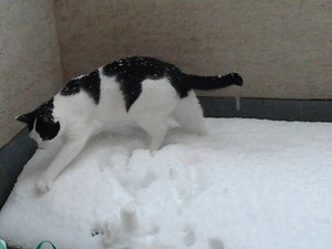 2013-02-23 08.57.20.jpg