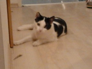 2013-01-10 18.33.03.jpg