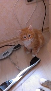 Paco 10 02.05.13.jpg