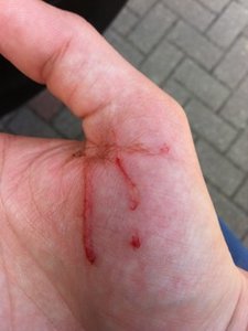 ImageUploadedByTapatalk1367657503.424146.jpg ImageUploadedByTapatalk1367657503.424146.jpg