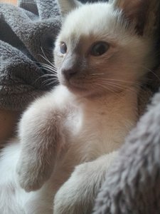 2013-03-03 16.46.27.jpg