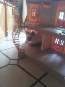 2013-03-02 14.00.34.jpg