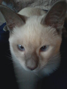 2013-04-30 20.35.48.jpg