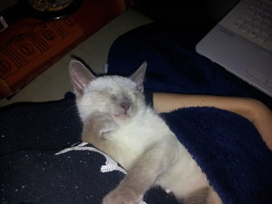 2013-03-22 21.14.39.jpg